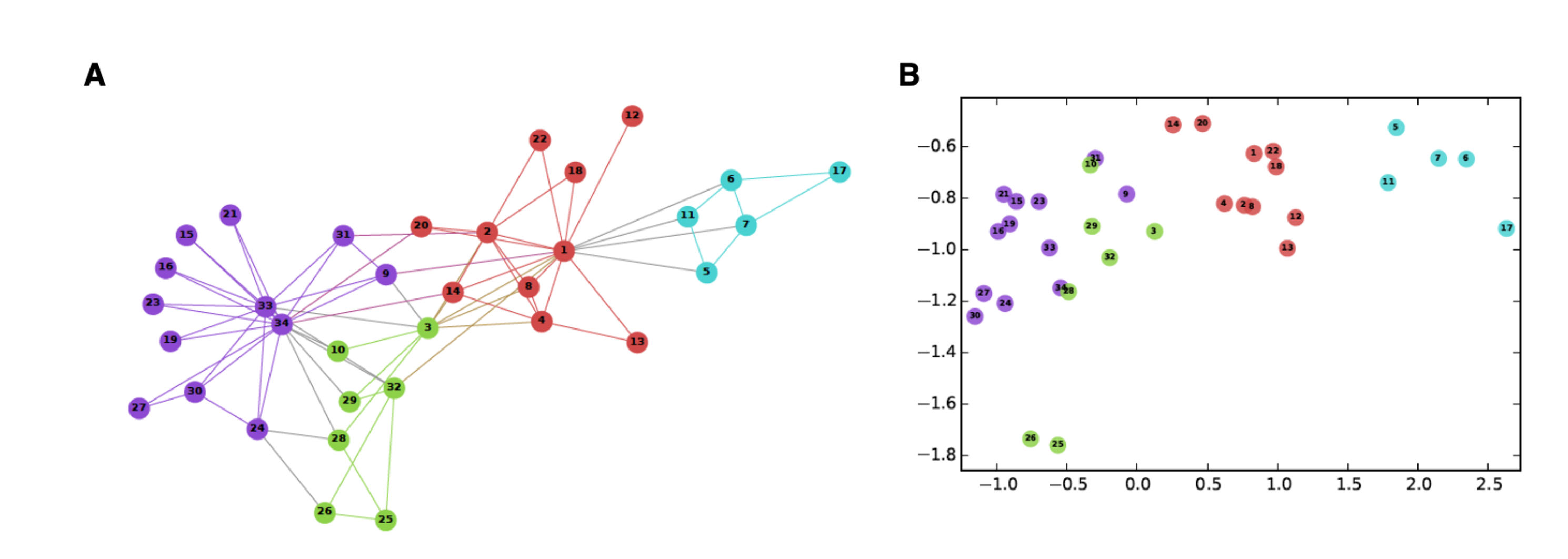 graph-embedding
